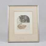 1532 8242 ETCHING